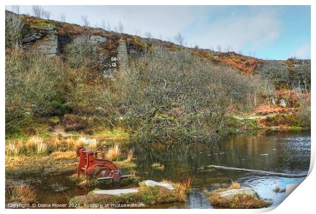 Haytor quarry Devon Print by Diana Mower