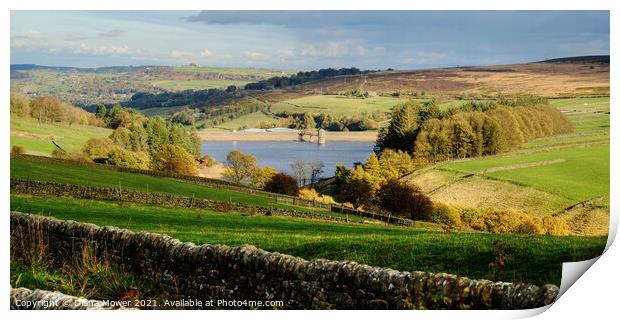 Lower Laithe Reservoir Panoramic Print by Diana Mower