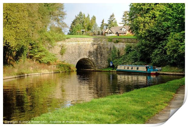 Chirk Tunnel Llangollen Canal Print by Diana Mower