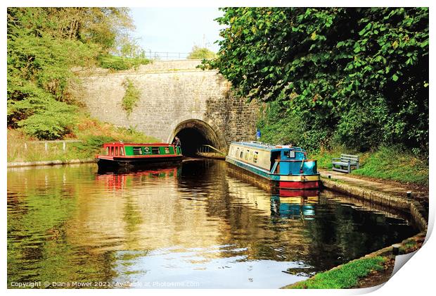 Chirk Canal Tunnel Llangollen  Print by Diana Mower