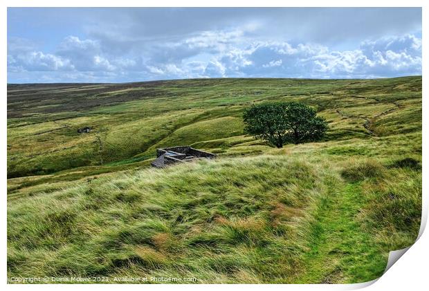 Top Withens ruins Haworth Moor Yorkshire Dales  Print by Diana Mower