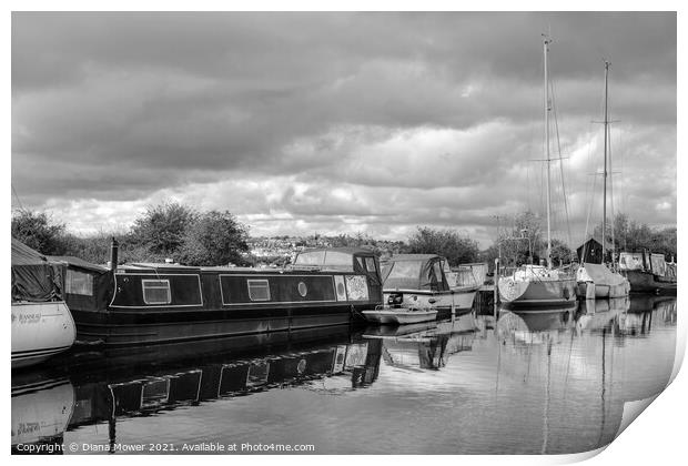 Heybridge Canal Monochrome Print by Diana Mower