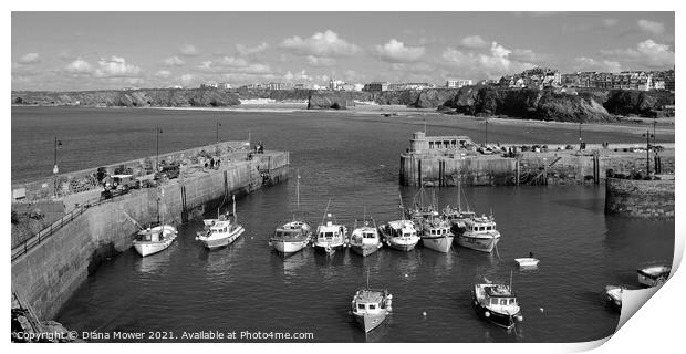 Newquay Harbour Panoramic Print by Diana Mower