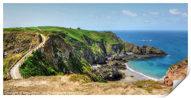  La Coupee La Grande Greve Panoramic Print by Diana Mower