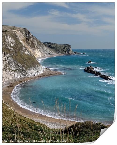 The Beach Man O' War Bay Dorset Print by Diana Mower