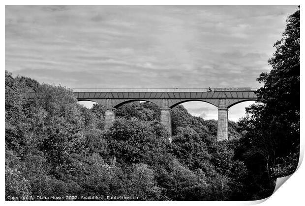 Pontcysyllte Aqueduct Monochrome Print by Diana Mower