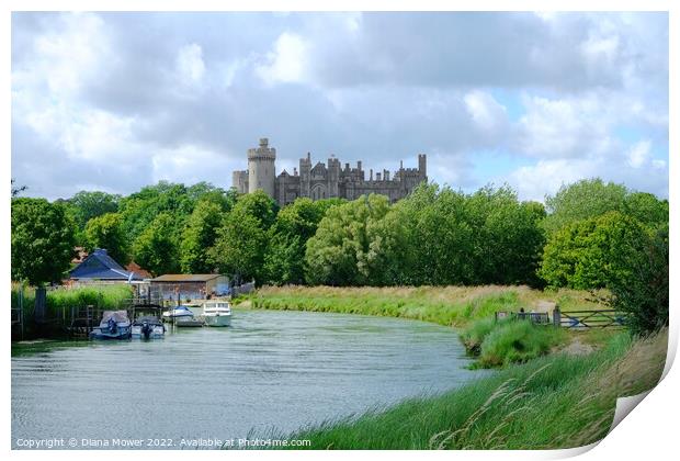 Arundel River Arun and Castle View Print by Diana Mower