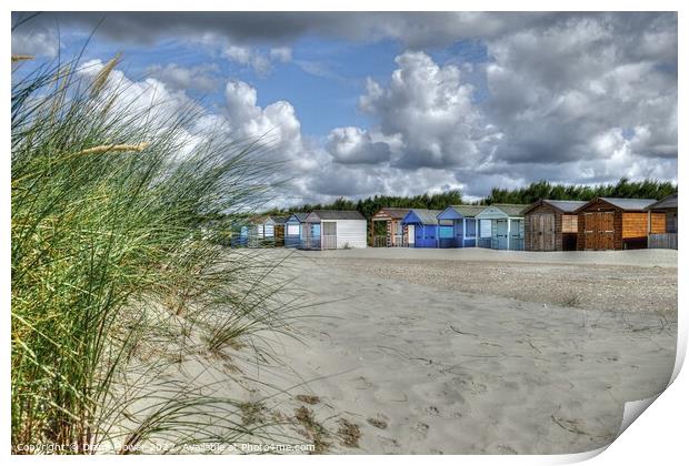 West Wittering beach Huts and Dunes  Print by Diana Mower