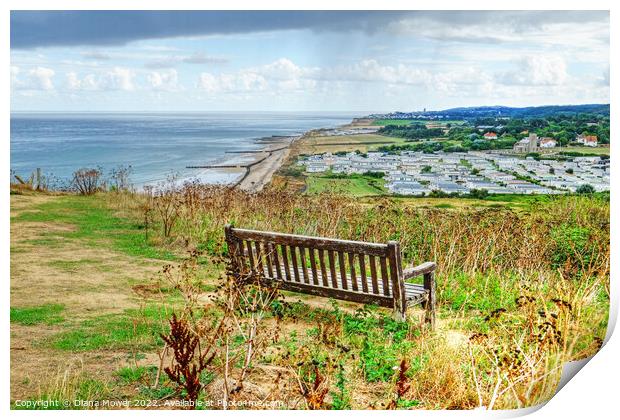 Beeston Regis from Beeston Bump Print by Diana Mower