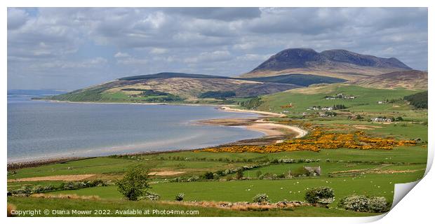 Isle of Arran Panoramic  Coastal view Print by Diana Mower