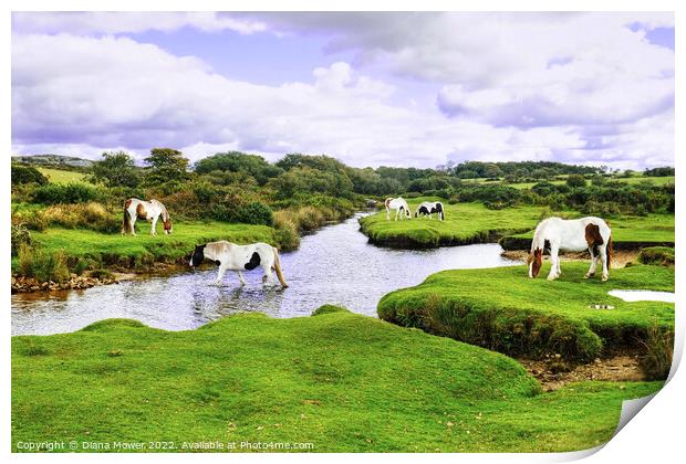 Bodmin Moor Ponies Print by Diana Mower