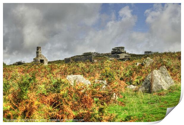 Bodmin moor Carbilly Tor and disused quarry works  Print by Diana Mower