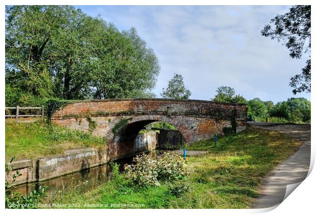 The Old Bridge at Beeleigh Essex Print by Diana Mower