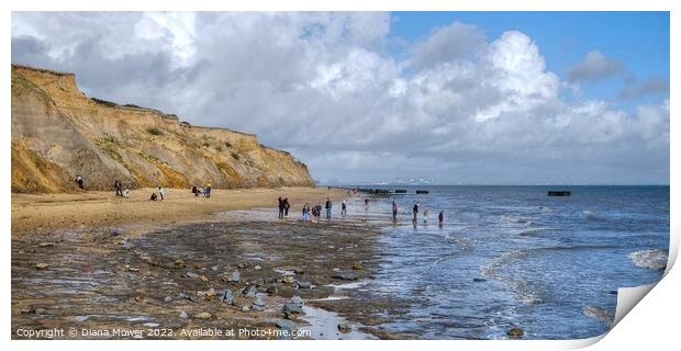 The Naze beach Fossil Hunting Print by Diana Mower