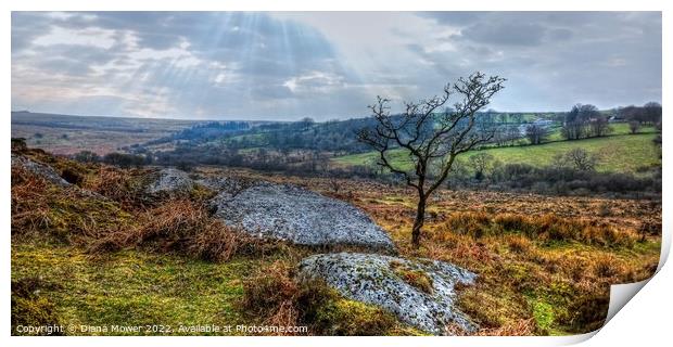 Dartmoor Panoramic view   Print by Diana Mower