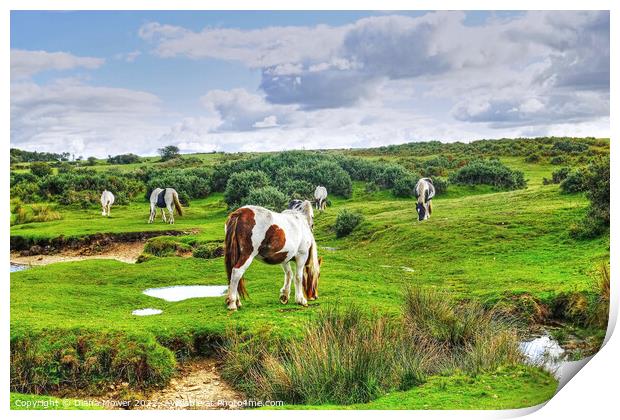 Ponies on Bodmin Moor Print by Diana Mower