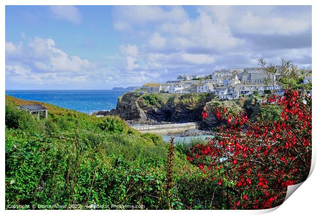  Picturesque Port Isaac   Print by Diana Mower