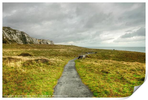 Samphire Hoe Country Park Kent Print by Diana Mower