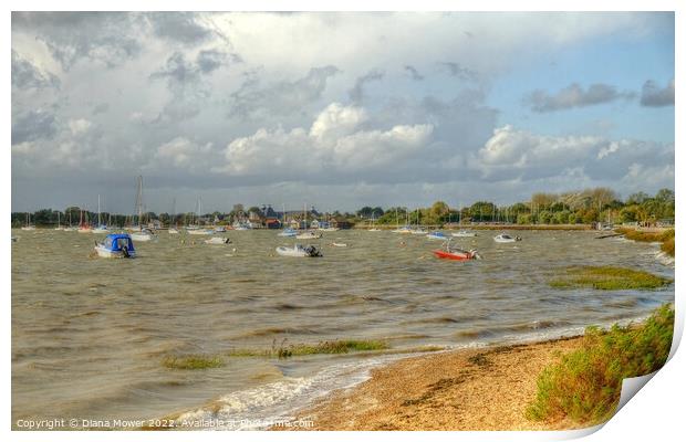 Stormy seas Mill beach Essex  Print by Diana Mower