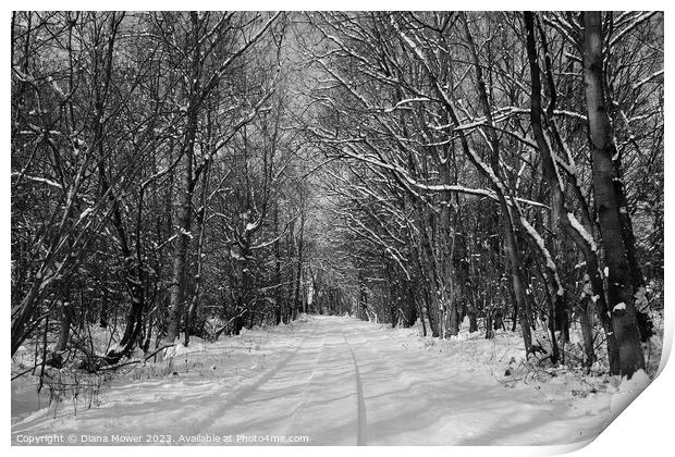 Essex Woodland Snow Print by Diana Mower