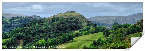 Castell Dinas Bran Panoramic Print by Diana Mower