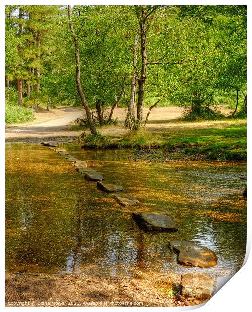 Cannock Chase Stepping Stones Print by Diana Mower