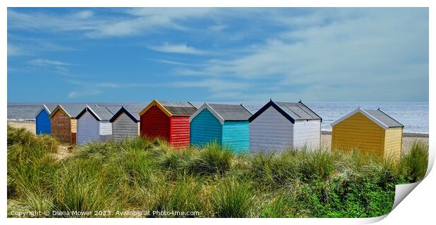 Southwold beach huts on the Dunes Print by Diana Mower