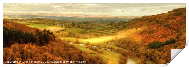 Golden hour at Symonds Yat Panoramic Print by Diana Mower