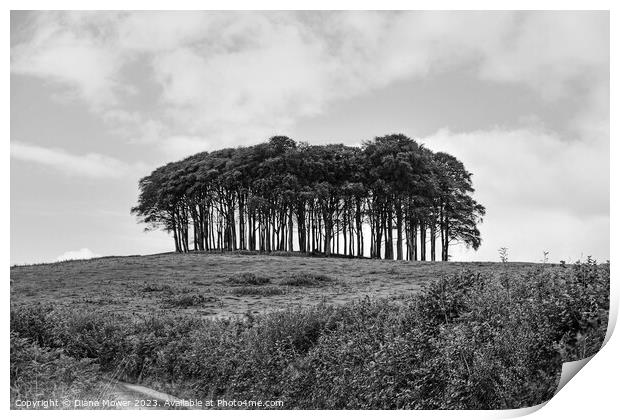 The Welcome Home or Nearly  trees monochrome Print by Diana Mower