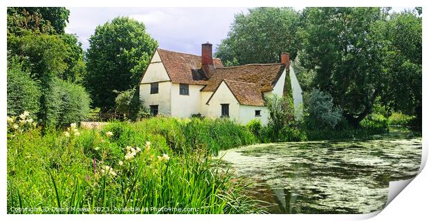 Willy Lotts House Panoramic Print by Diana Mower