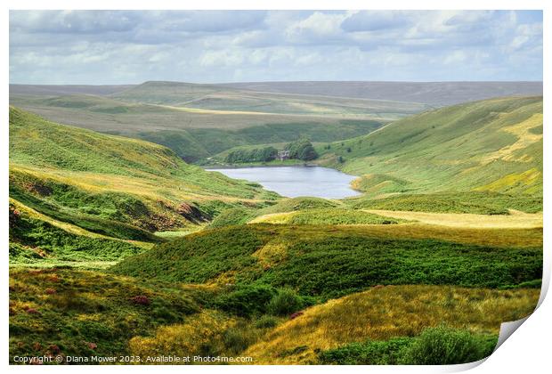  Yorkshire Dales and  Wessenden Reservoir  Print by Diana Mower