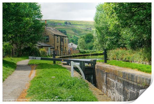 Huddersfield Narrow Canal  Print by Diana Mower