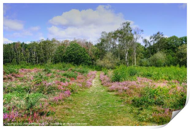 Tiptree Heath Heather Pathway Print by Diana Mower