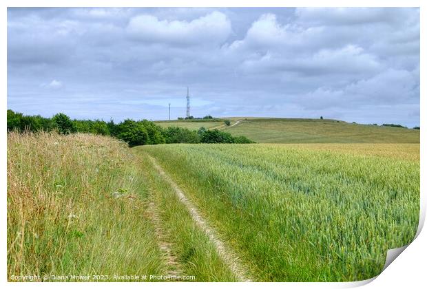 Monachs Way West Sussex   Print by Diana Mower