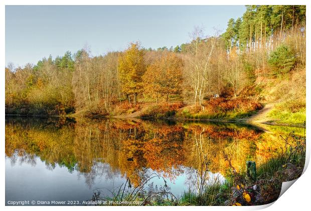 Cannock Chase Autumn Print by Diana Mower