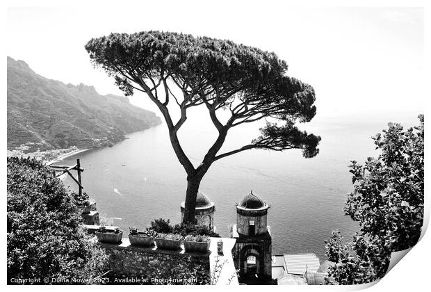 Ravello Views Italy in Black and White Print by Diana Mower