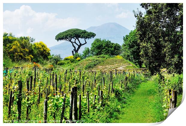 Pompeii Vineyard Italy Print by Diana Mower