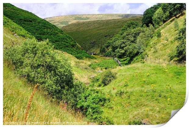 Marsden moor Yorkshire Print by Diana Mower