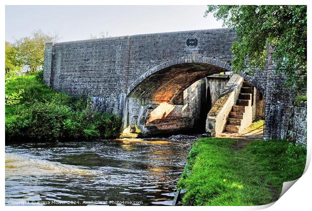 Broom Bridge Penkridge Canal Print by Diana Mower