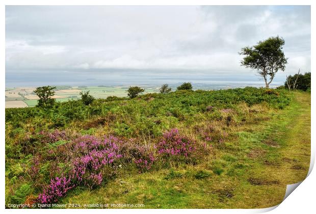  Quantocks and Somerset Levels Print by Diana Mower