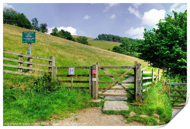 Footpath To Derwent Edge   Print by Diana Mower