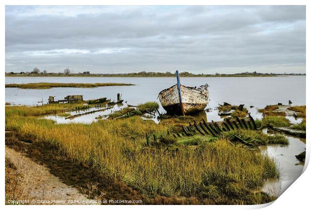 Boat Wrecks Maldon Essex Print by Diana Mower
