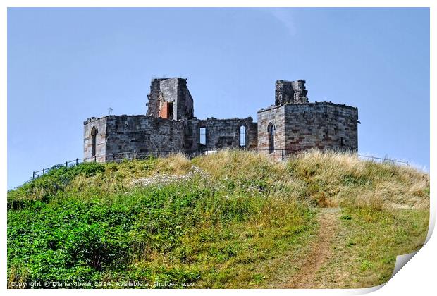 Stafford Castle Print by Diana Mower