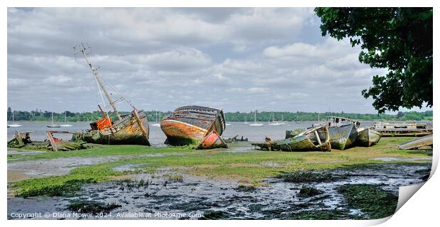 River Orwell Wrecks at Pin Mill  Print by Diana Mower