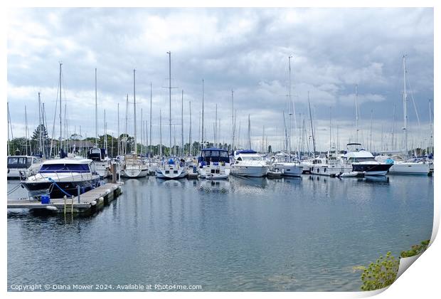 Chichester Marina Sussex Print by Diana Mower