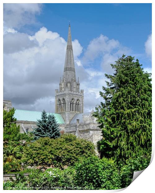 Chichester Cathedral West Sussex Print by Diana Mower