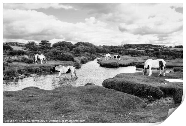 Bodmin Moor Ponies Mono Print by Diana Mower