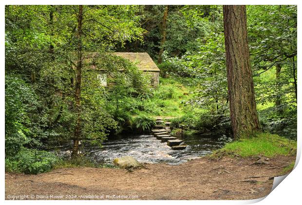 Hebden Beck Stepping Stones Print by Diana Mower