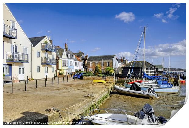 Wivenhoe Quayside  Essex Print by Diana Mower