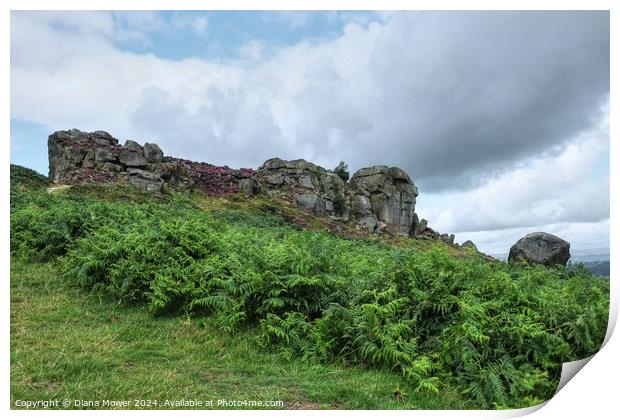 The Cow and Calf Yorkshire Print by Diana Mower